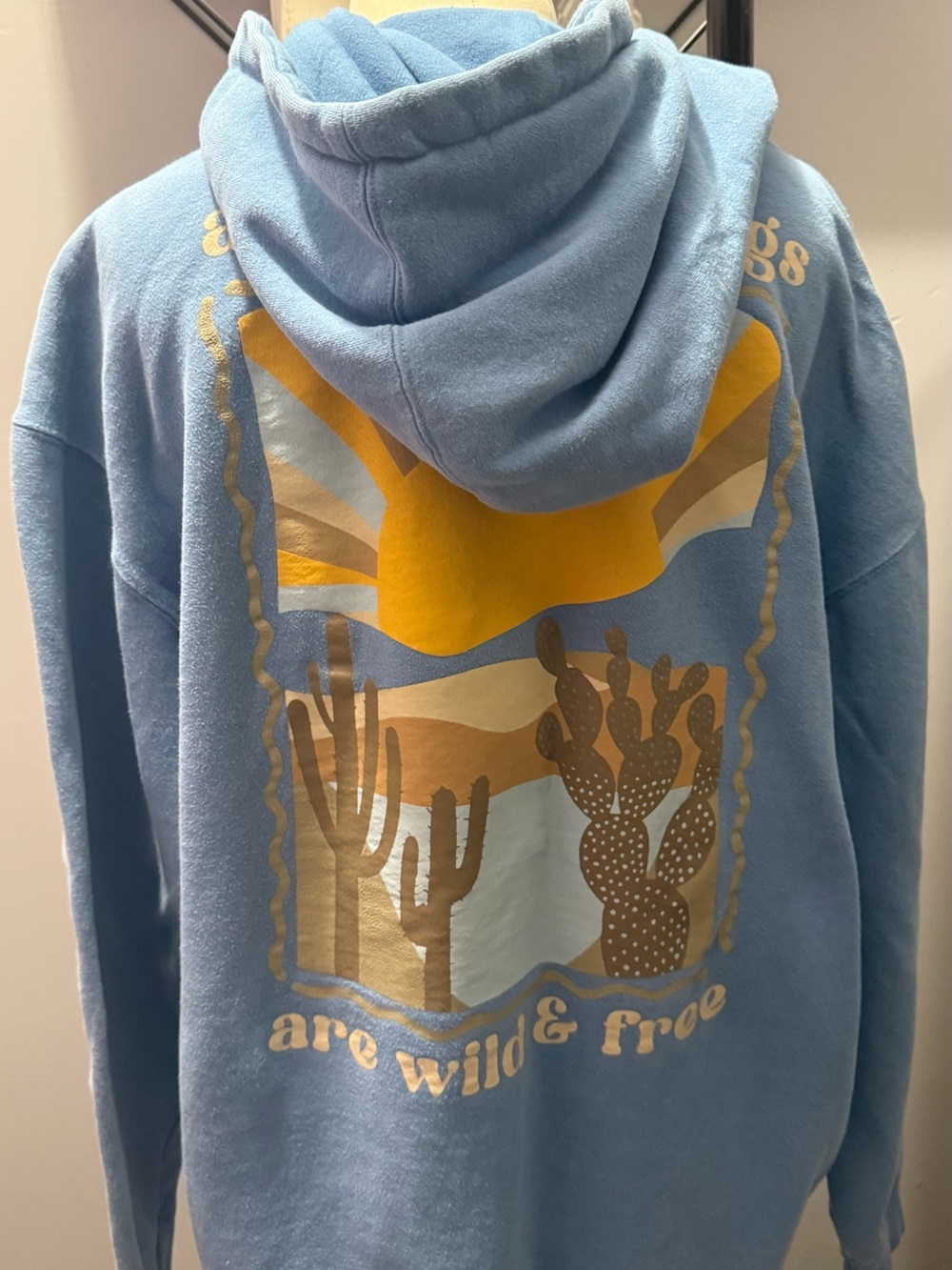 Blue Graphic Hoodie Sweatshirt - All Good Things Desert Print - Picture 8 of 9